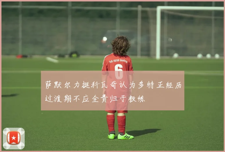 萨默尔力挺科瓦奇认为多特正经历过渡期不应全责归于教练