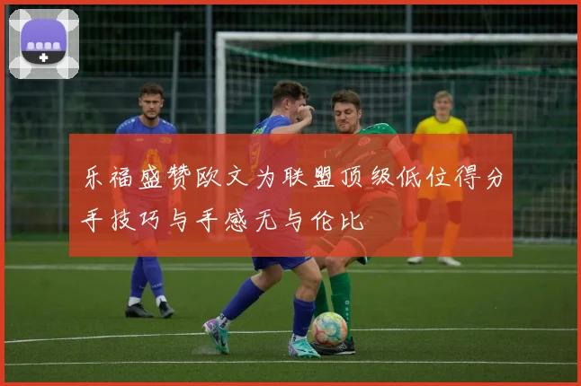 乐福盛赞欧文为联盟顶级低位得分手技巧与手感无与伦比